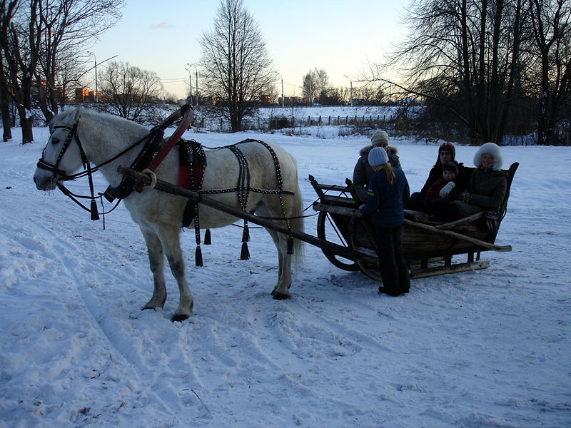 Файл:Ru novoierusalimsky monastery katanie 09.jpg