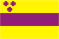 Ru troitsk chelyabinsk region flag.png