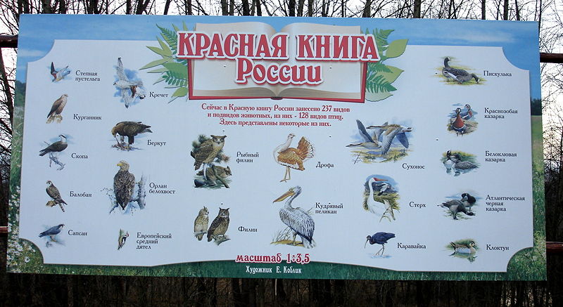 Файл:Ru kaluga reg park ptic plakat krasnaja kniga 08.jpg