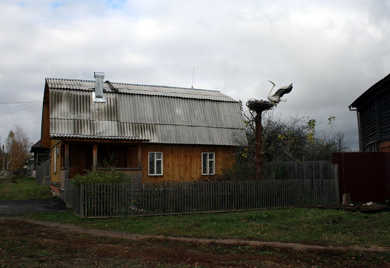 Файл:Ru kaluga region peremyshl museum belogo aista 08.jpg
