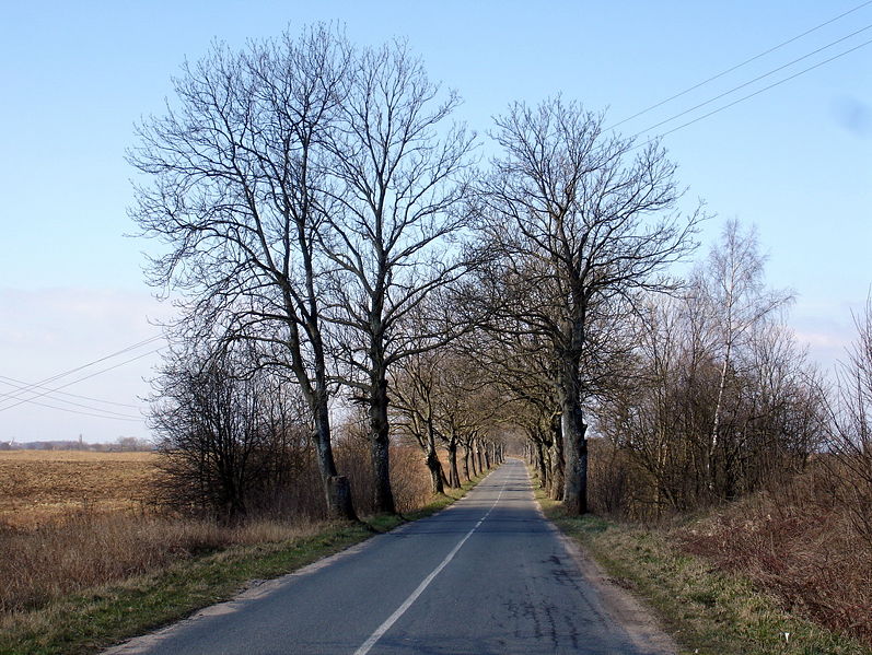 Файл:Ru kaliningrad region tipical road 08.jpg