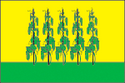 Флаг Гороховца