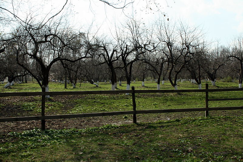 Файл:Ru orel region spasskoe lutovinovo sad 08.jpg