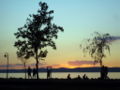 Hu balaton sunset 07.JPG