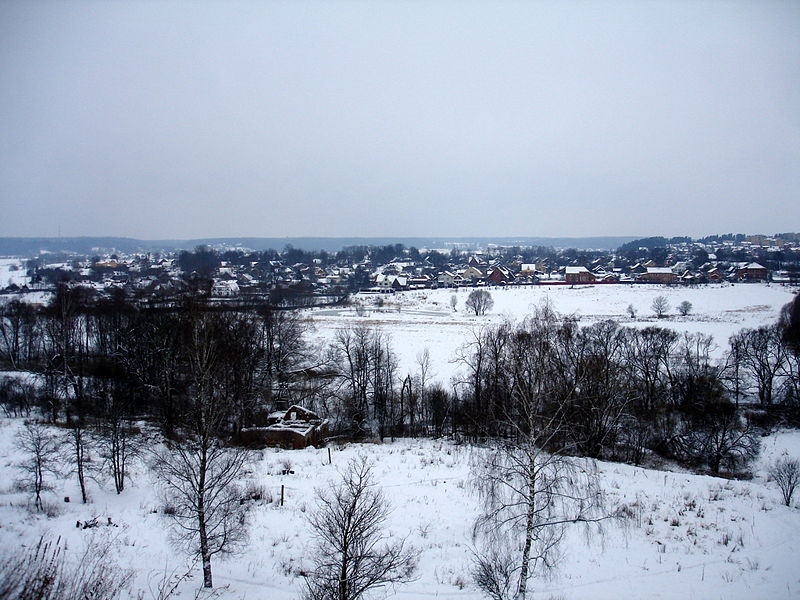 Файл:Ru zvenigorod monastery view okrestnosti 09.jpg