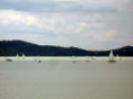 Hu balaton sailers 07.JPG