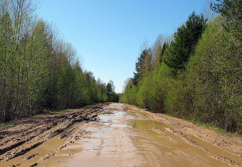 Файл:Ru lubim buy road 12.jpg