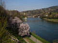IT View of the Po from Turin.JPG