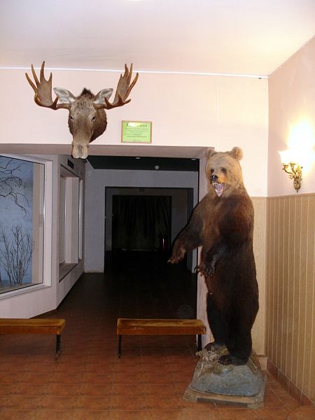 Файл:Ru kostroma museum prirody vestibul 08.jpg