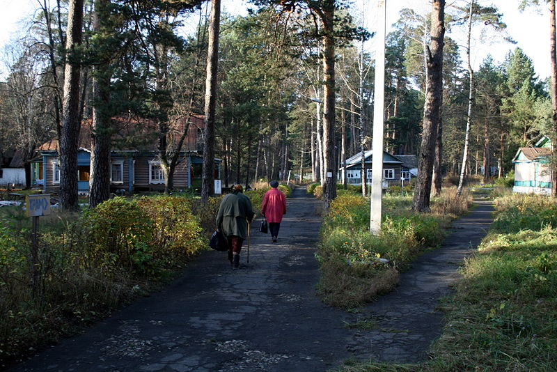 Файл:Ru kaluga reg aleksin bor fakel territorium 08.jpg