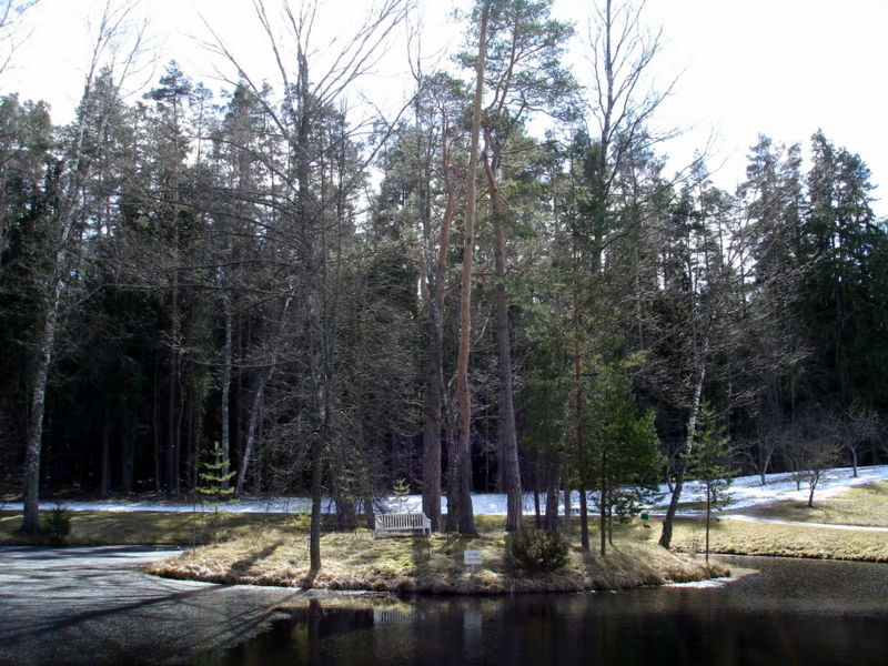 Файл:Ru pusgory mihajlovskoe ostrov 07.JPG