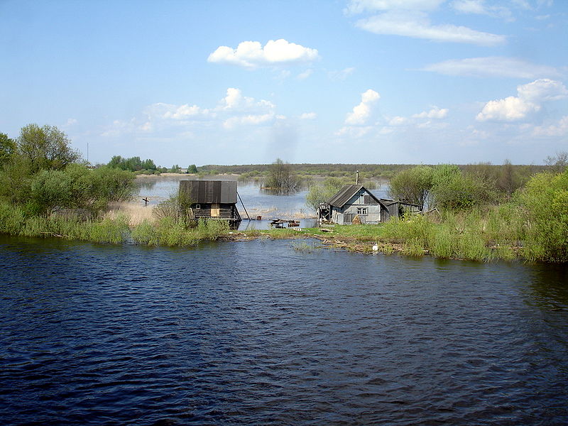 Файл:Ru ust vologda 2 10.JPG