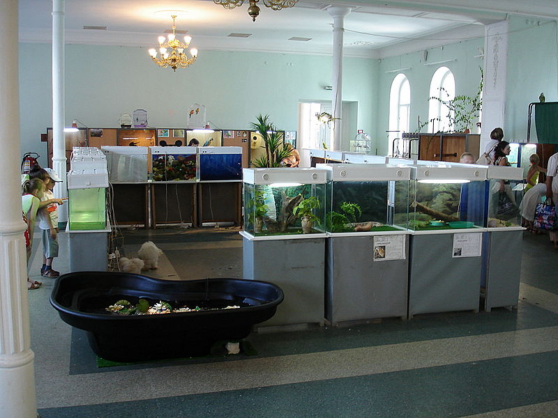 Файл:Ru kostroma museum prirody vistavka 08.jpg