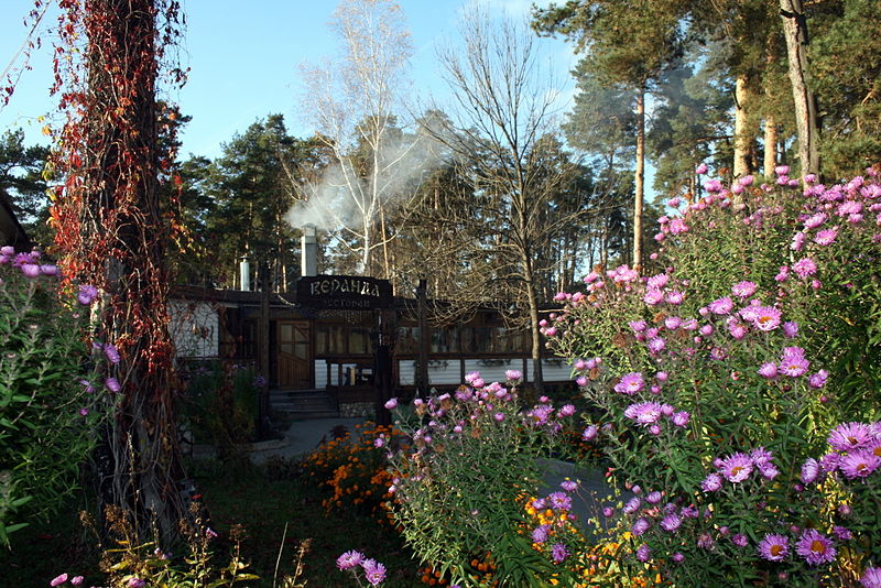 Файл:Ru kaluga reg aleksin bor veranda restaurant 08.jpg