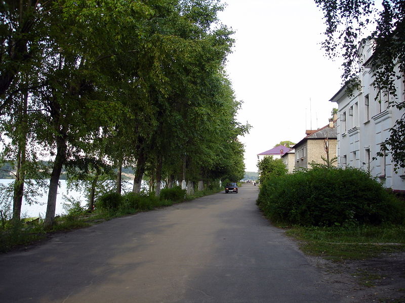 Файл:Ru ples luna4arskogo street 08.jpg