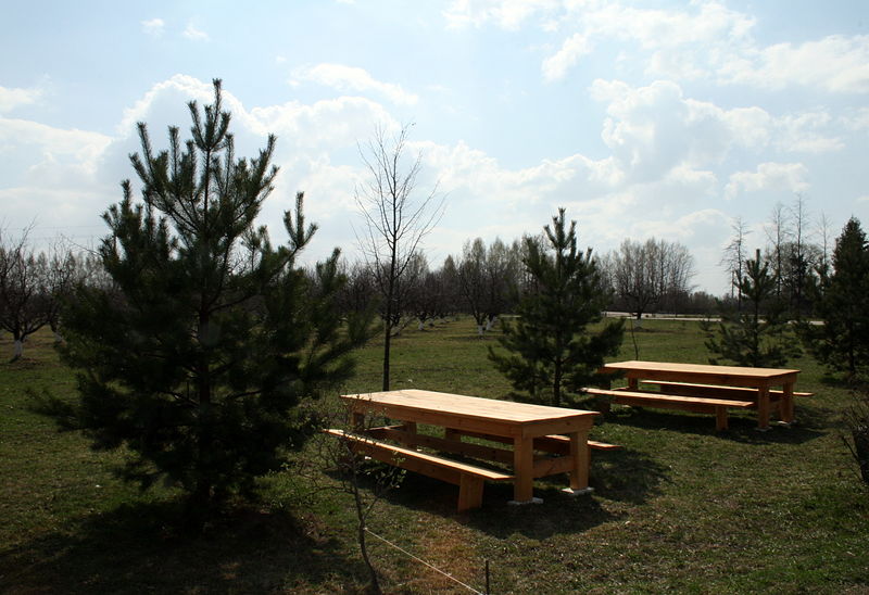 Файл:Ru orel region spasskoe lutovinovo picnik 08.jpg
