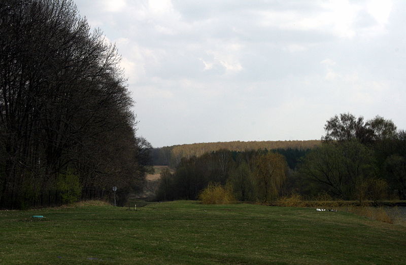 Файл:Ru orel region spasskoe lutovinovo lug 08.jpg