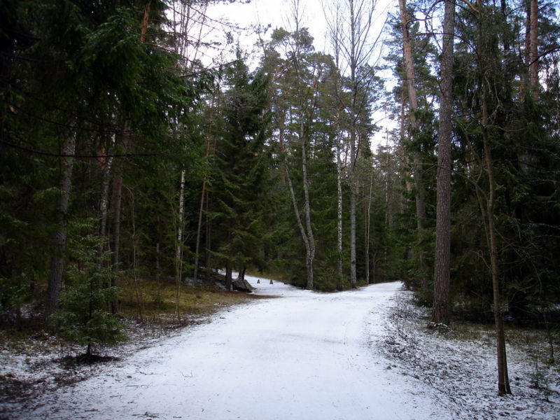 Файл:Ru pusgory mihajlovskoe bugrovo road 07.JPG