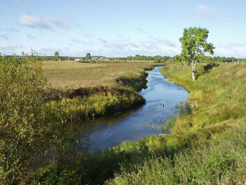 Файл:RU Arkhangelskaia oblast Plesetskiy Raion.JPG